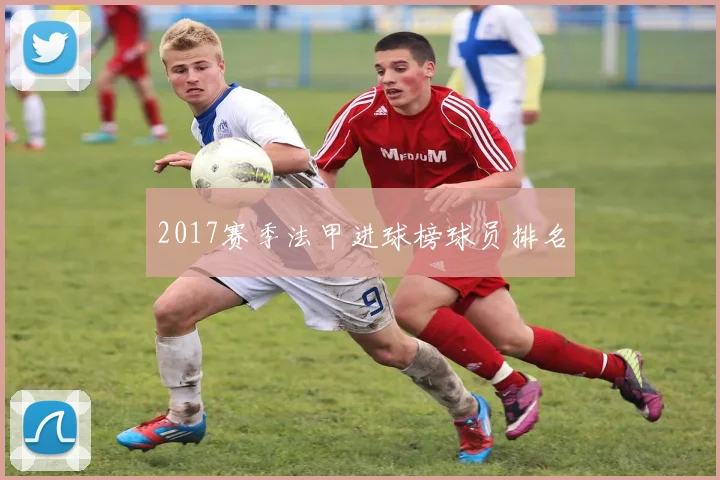 2017赛季法甲进球榜球员排名