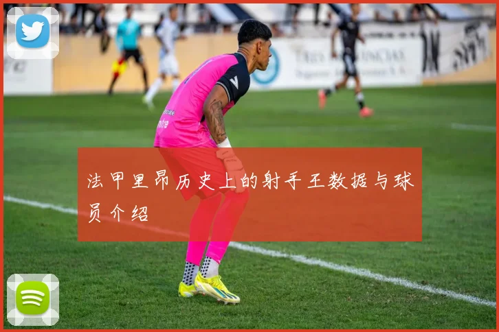 法甲里昂历史上的射手王数据与球员介绍
