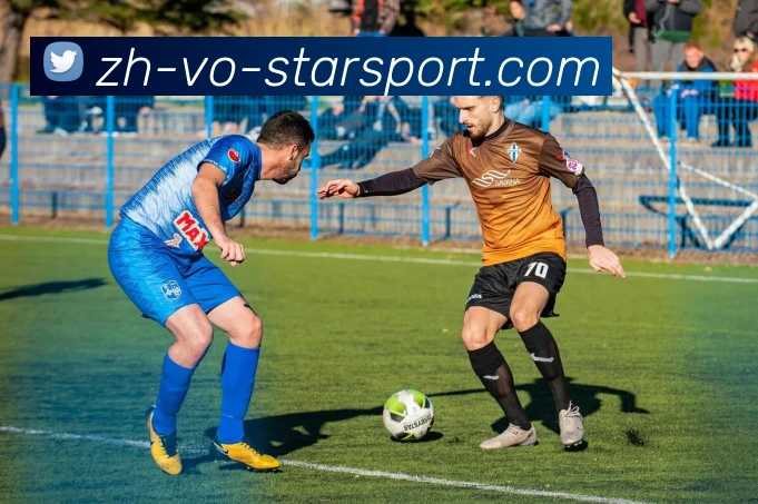 星空体育平台生态图